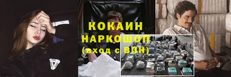 Cocaine Эквадор  закладка  Алексин 